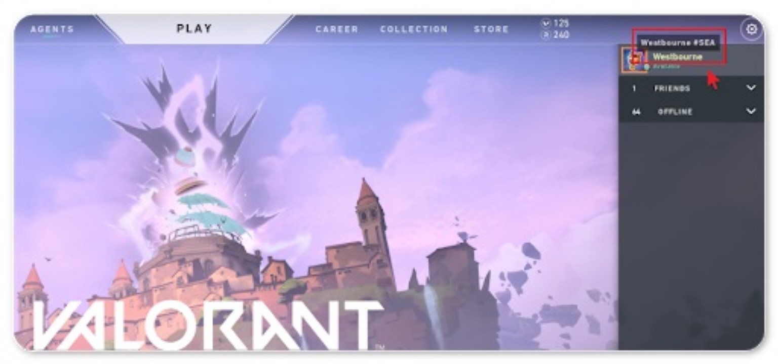 طريقة معرفة RIOT ID